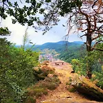 Talblick