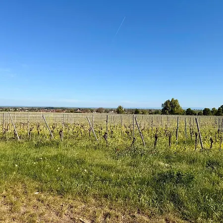 Apartament Talblick Eusserthal