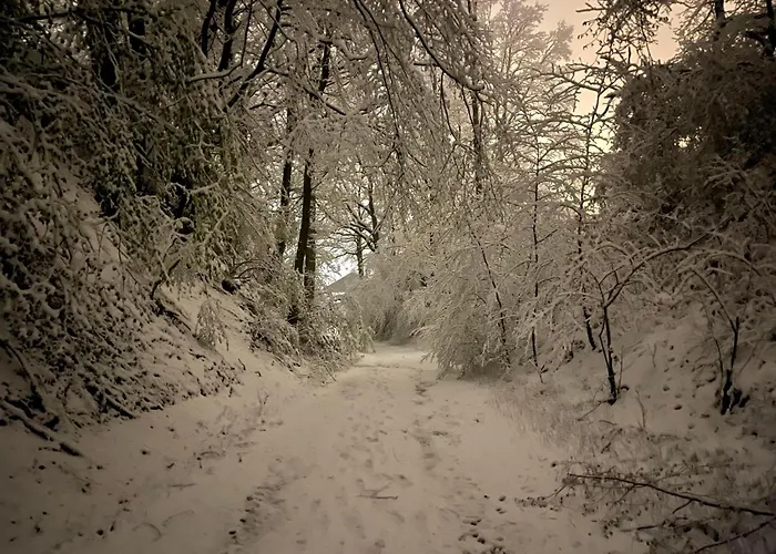 Talblick Daire Eusserthal